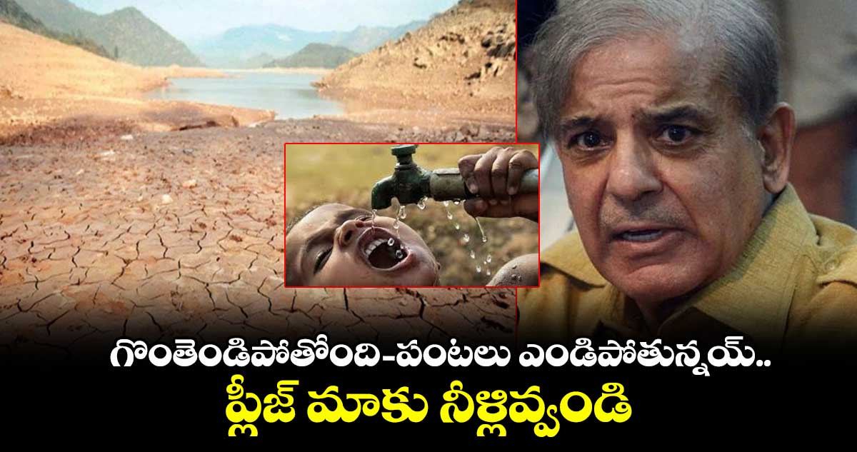 గొంతెండిపోతోంది- పంటలు ఎండిపోతున్నయ్.. ప్లీజ్ మాకు నీళ్లివ్వండి: పాక్ రిక్వెస్ట్స్