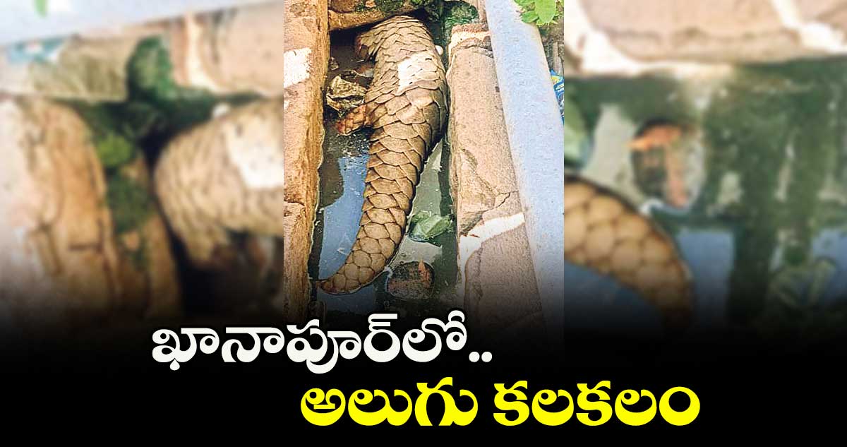 ఖానాపూర్లో అలుగు కలకలం
