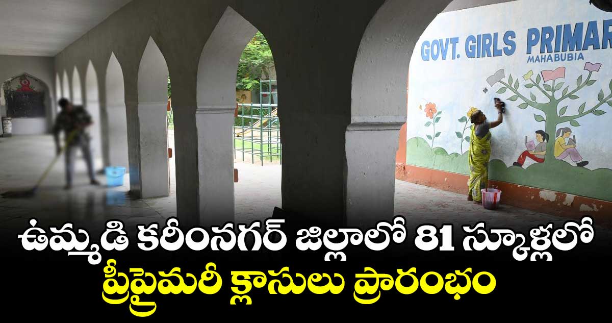 ఉమ్మడి కరీంనగర్ జిల్లాలో 81 స్కూళ్లలో ప్రీప్రైమరీ క్లాసులు ప్రారంభం