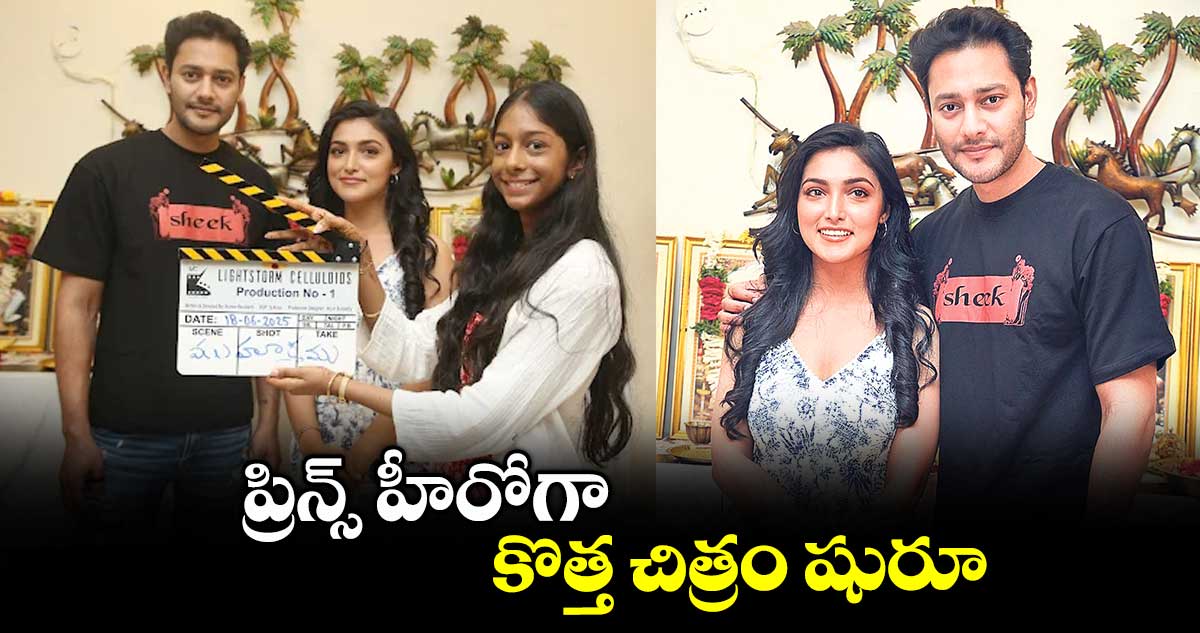 ప్రిన్స్ హీరోగా కొత్త చిత్రం షురూ