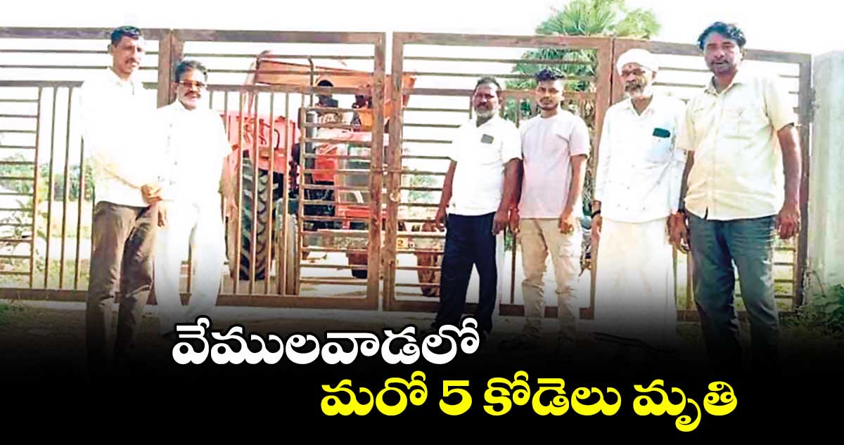 వేములవాడలో మరో 5 కోడెలు మృతి
