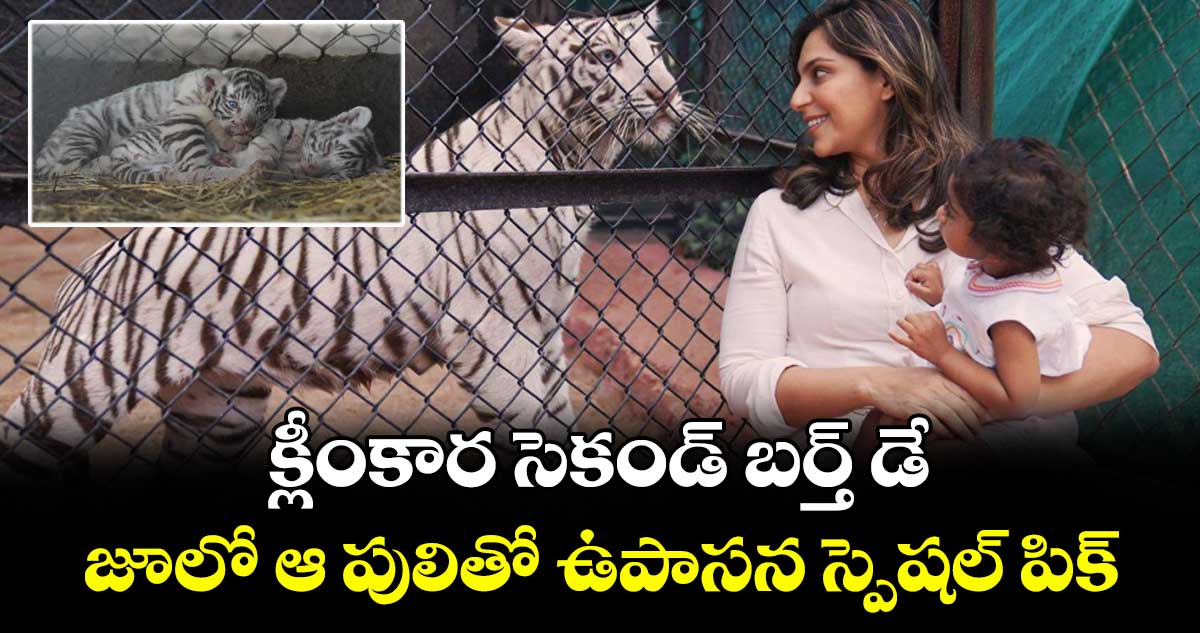 KlinKaara: క్లీంకార సెకండ్ బర్త్ డే.. జూలో ఆ పులితో ఉపాసన స్పెషల్ పిక్.. అసలు కథ ఇదే!