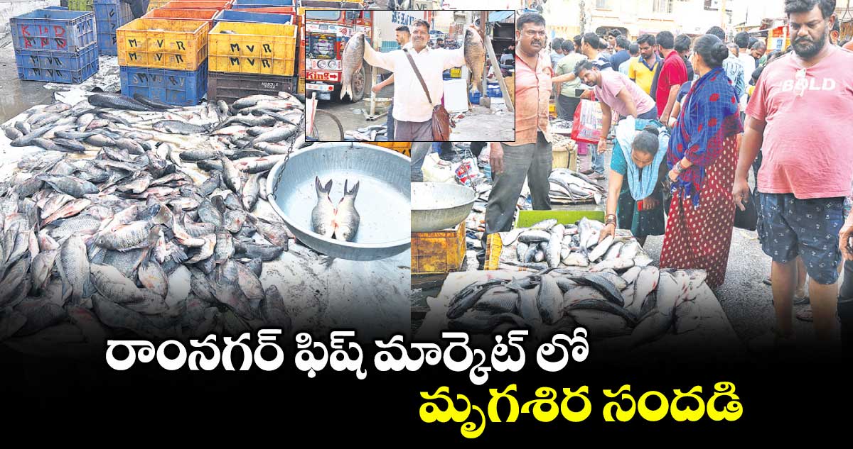 రాంనగర్ ఫిష్ మార్కెట్ లో మృగశిర సందడి