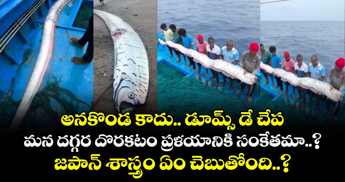 అనకొండ కాదు.. డూమ్స్ డే చేప : మన దగ్గర దొరకటం ప్రళయానికి సంకేతమా..? జపాన్ శాస్త్రం ఏం చెబుతోంది..?