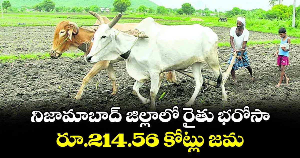 నిజామాబాద్ జిల్లాలో రైతు భరోసా రూ.214.56 కోట్లు జమ : కలెక్టర్ వినయ్కృష్ణారెడ్డి