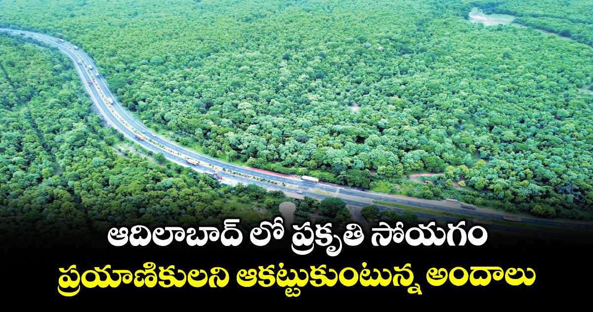 ఆదిలాబాద్ లో ప్రకృతి సోయగం... ప్రయాణికులని ఆకట్టుకుంటున్న అందాలు