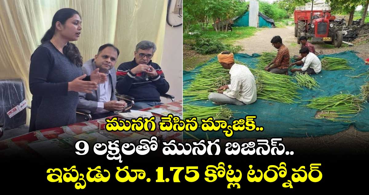 మునగ చేసిన మ్యాజిక్.. 9 లక్షలతో మునగ బిజినెస్.. ఇప్పుడు రూ. 1.75 కోట్ల టర్నోవర్