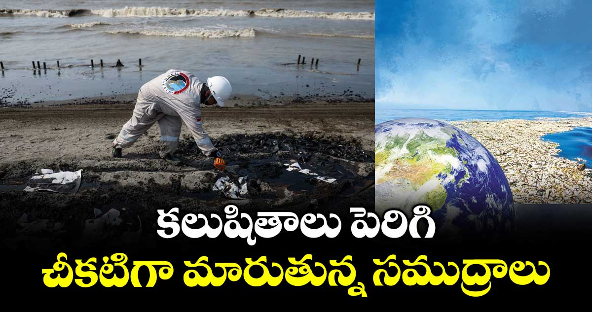 కలుషితాలు పెరిగి చీకటిగామారుతున్న సముద్రాలు