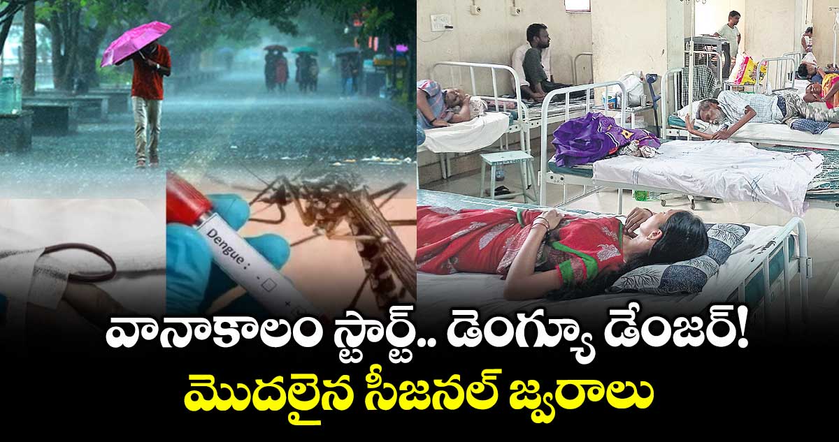 వానాకాలం స్టార్ట్.. డెంగ్యూ డేంజర్ ! మొదలైన సీజనల్ జ్వరాలు