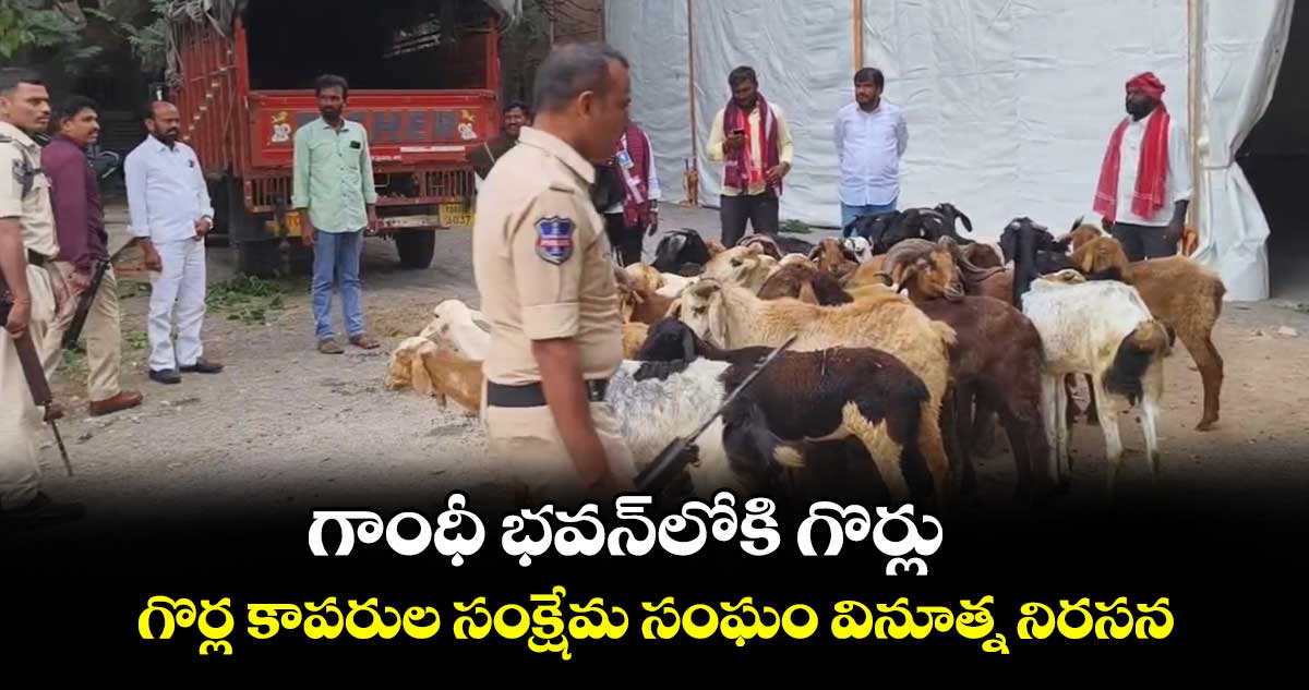 గాంధీ భవన్లోకి గొర్లు.. గొర్ల కాపరుల సంక్షేమ సంఘం వినూత్న నిరసన