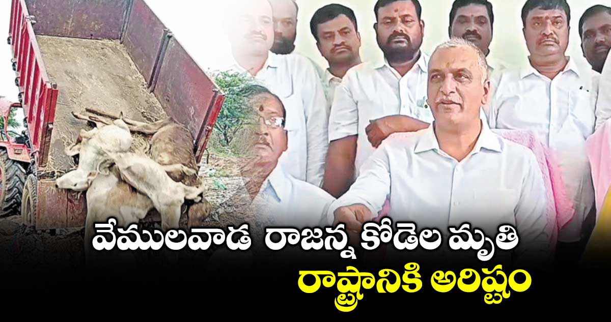 వేములవాడ రాజన్న కోడెల మృతి రాష్ట్రానికి అరిష్టం : మాజీమంత్రి హరీశ్రావు