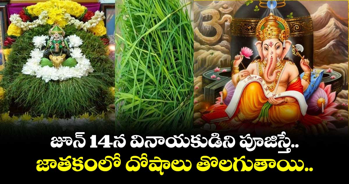 జూన్ 14న వినాయకుడిని పూజిస్తే.. జాతకంలో దోషాలు తొలగుతాయి..