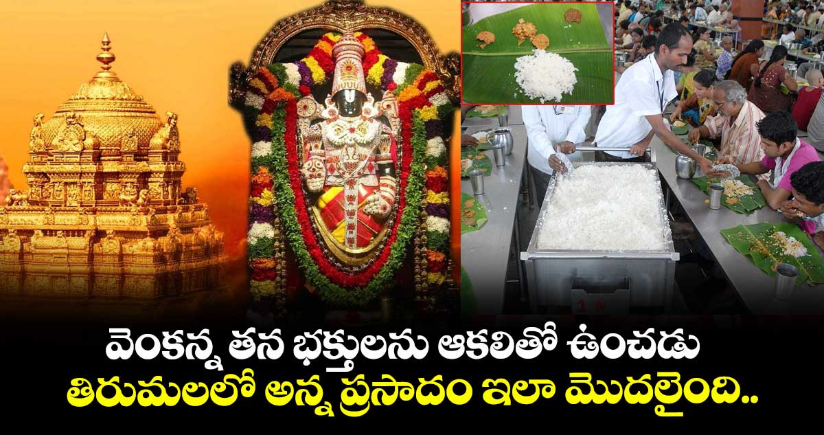 వెంకన్న తన భక్తులను ఆకలితో ఉంచడు.. తిరుమలలో అన్న ప్రసాదం ఇలా మొదలైంది..