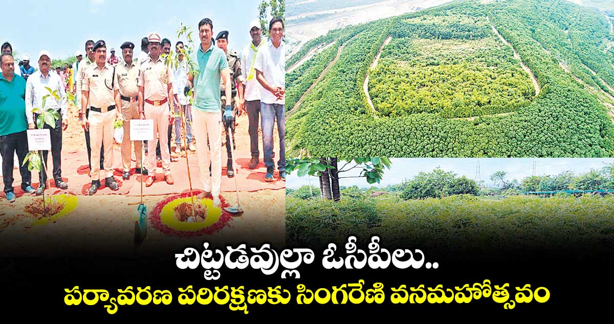 చిట్టడవుల్లా ఓసీపీలు..పర్యావరణ పరిరక్షణకు సింగరేణి వనమహోత్సవం