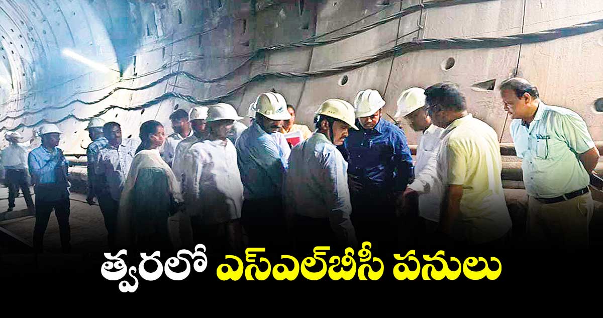 త్వరలో ఎస్ఎల్బీసీ పనులు: ఆర్అండ్ఆర్ కమిషనర్ శివకుమార్నాయుడు వెల్లడి