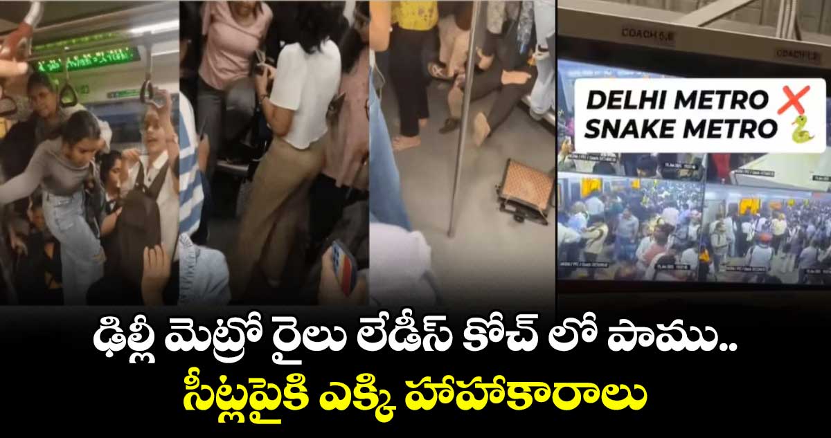 ఢిల్లీ మెట్రో రైలు లేడీస్ కోచ్ లో పాము.. సీట్లపైకి ఎక్కి హాహాకారాలు