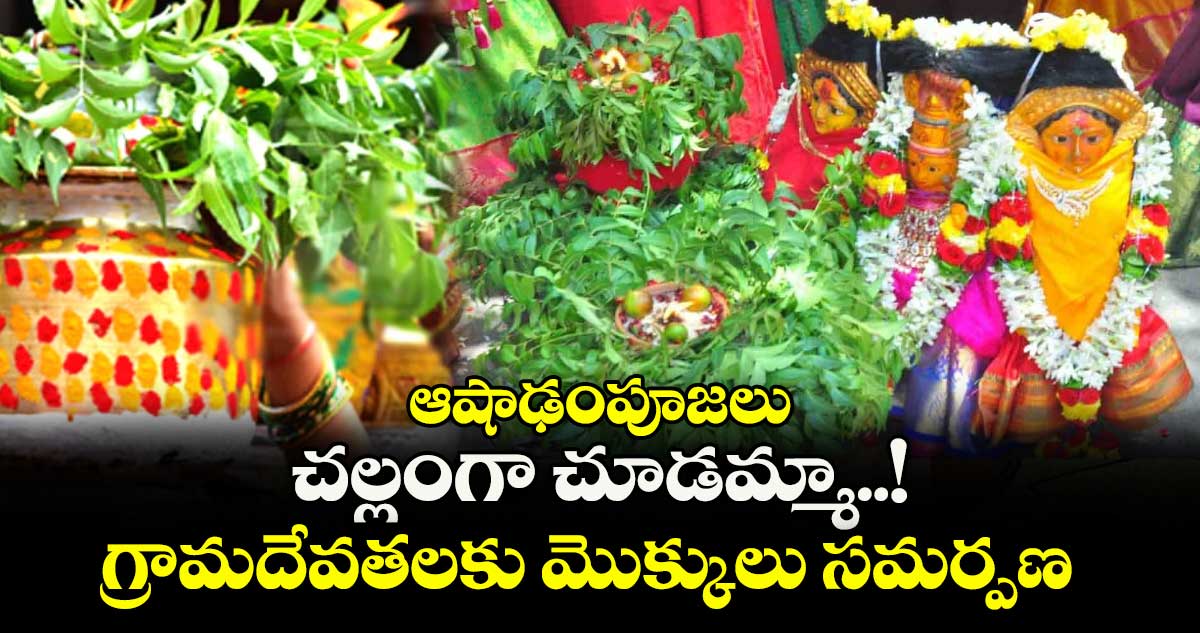 ఆషాఢంపూజలు: చల్లంగా చూడమ్మా..! గ్రామదేవతలకు మొక్కులు సమర్పణ