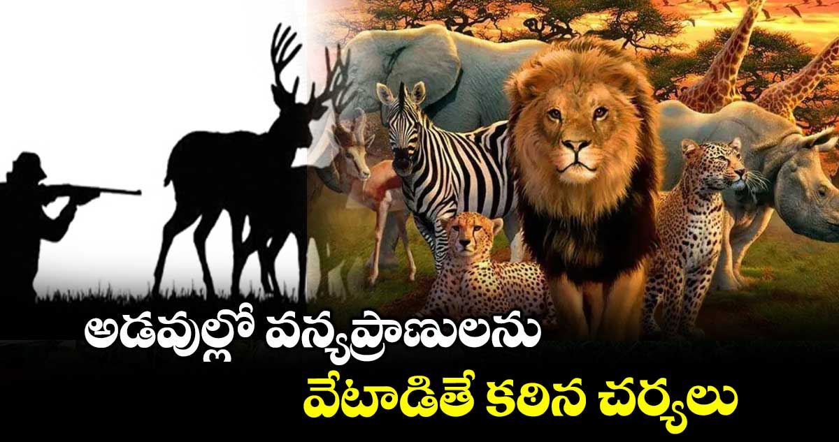 అడవుల్లో వన్యప్రాణులను వేటాడితే కఠిన చర్యలు : ఆఫీసర్ భాస్కర్