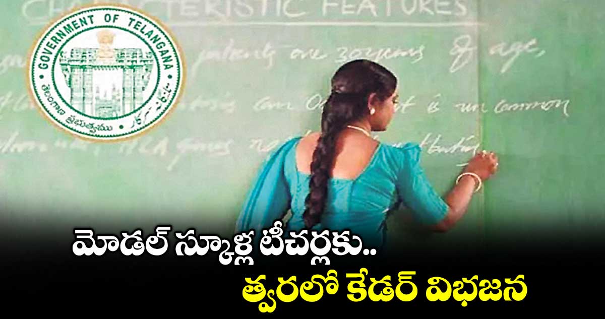 మోడల్ స్కూళ్ల టీచర్లకు త్వరలో కేడర్ విభజన