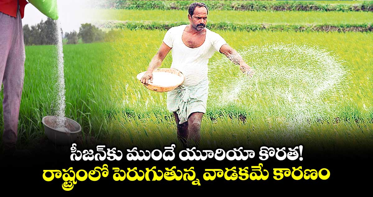 సీజన్​కు ముందే యూరియా కొరత!..  రాష్ట్రంలో పెరుగుతున్న వాడకమే కారణం