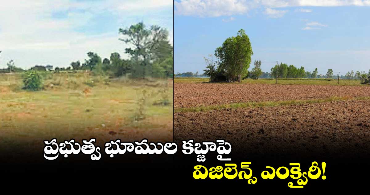 ప్రభుత్వ భూముల కబ్జాపై విజిలెన్స్ ఎంక్వైరీ!