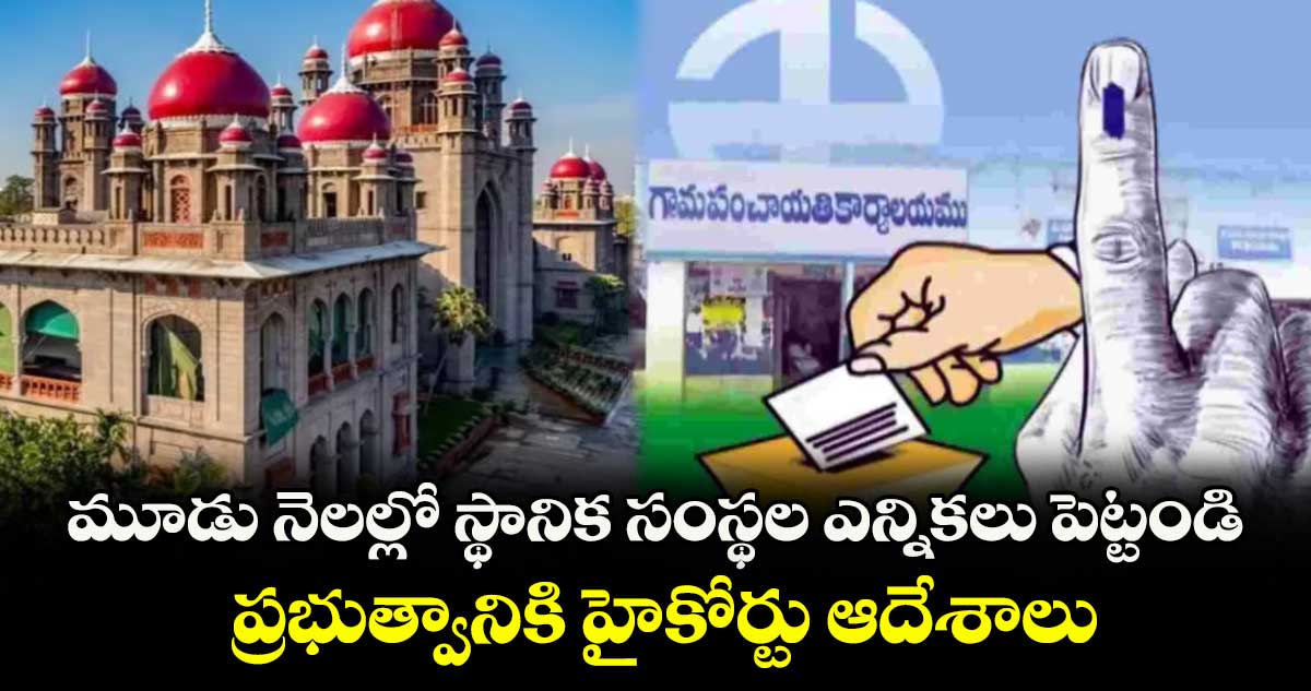మూడు నెలల్లో స్థానిక సంస్థల ఎన్నికలు పెట్టండి: ప్రభుత్వానికి హైకోర్టు ఆదేశాలు