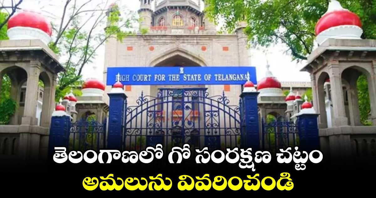 తెలంగాణలో గో సంరక్షణ చట్టం అమలును వివరించండి : హైకోర్టు