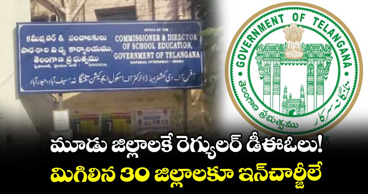 మూడు జిల్లాలకే రెగ్యులర్ డీఈఓలు!.. మిగిలిన 30 జిల్లాలకూ ఇన్​చార్జీలే