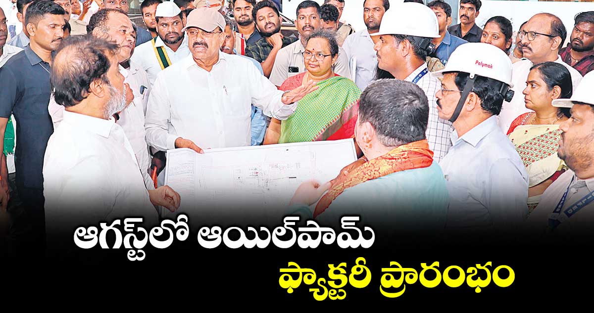 ఆగస్ట్ లో ఆయిల్పామ్ ఫ్యాక్టరీ ప్రారంభం : మంత్రి తుమ్మల నాగేశ్వరరావు