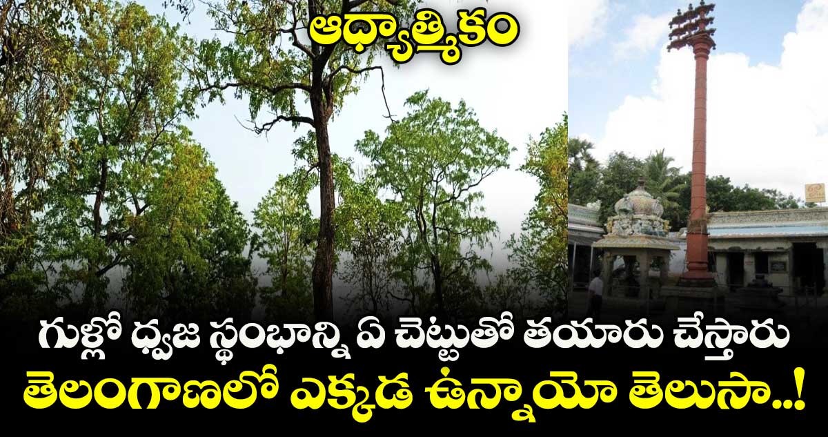 ఆధ్యాత్మికం : గుళ్లో ధ్వజ స్థంభాన్ని ఏ చెట్టుతో తయారు చేస్తారు... తెలంగాణలో ఎక్కడ ఉన్నాయో తెలుసా..!