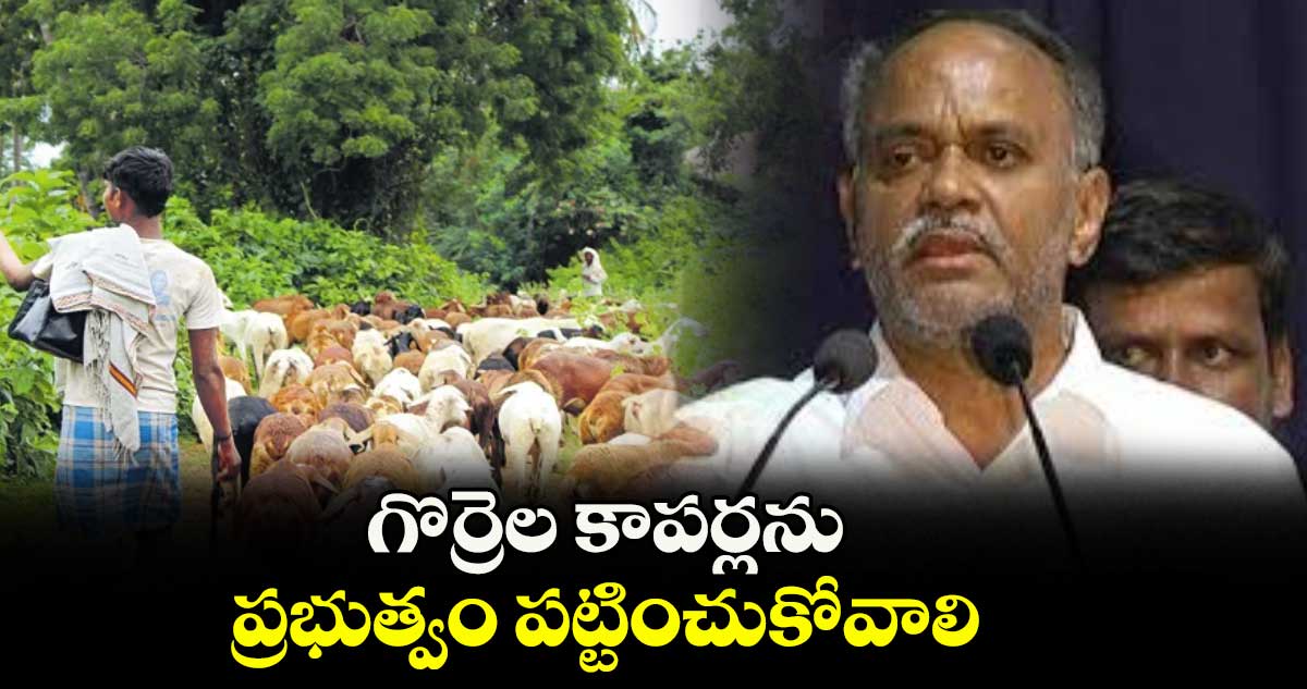 గొర్రెల కాపర్లను ప్రభుత్వం పట్టించుకోవాలి: ప్రొఫెసర్ సింహాద్రి