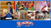 మహిళలు ఆషాడం మెహందీ పండుగ జరుపుకుంటారు |మన చద్దన్నం-పులిసిన అన్నం |ఎద్దులు-ప్లోయింగ్|V6 తీన్మార్