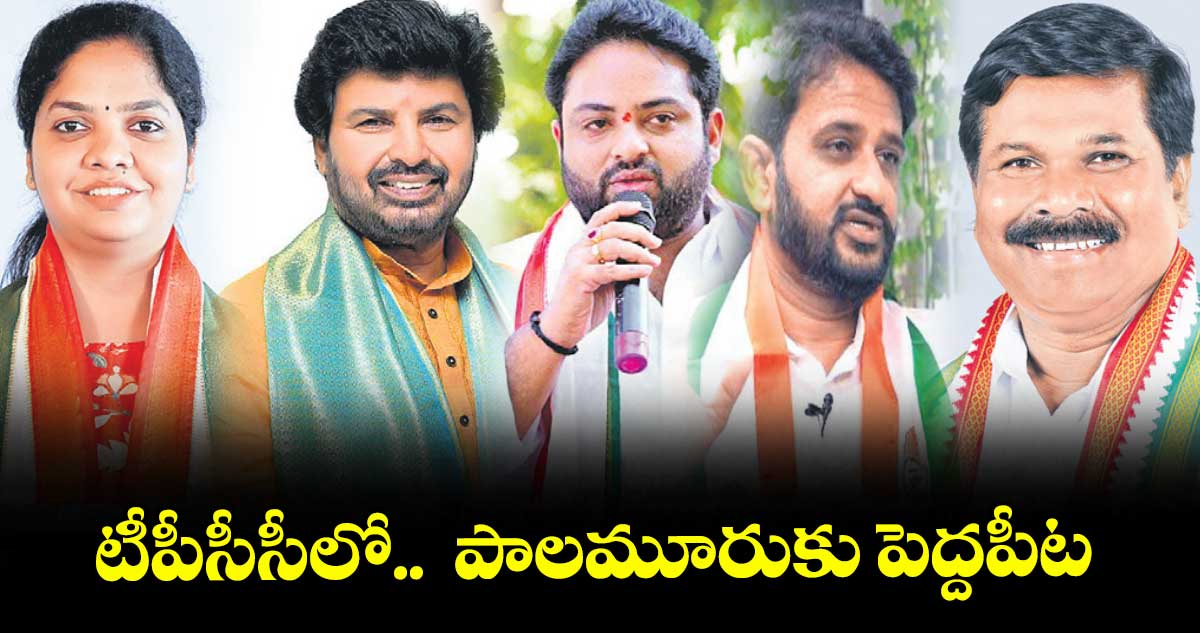 టీపీసీసీలో.. పాలమూరుకు పెద్దపీట
