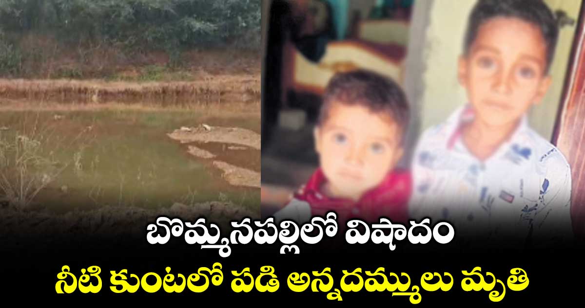బొమ్మనపల్లిలో విషాదం ..నీటి కుంటలో పడి అన్నదమ్ములు మృతి