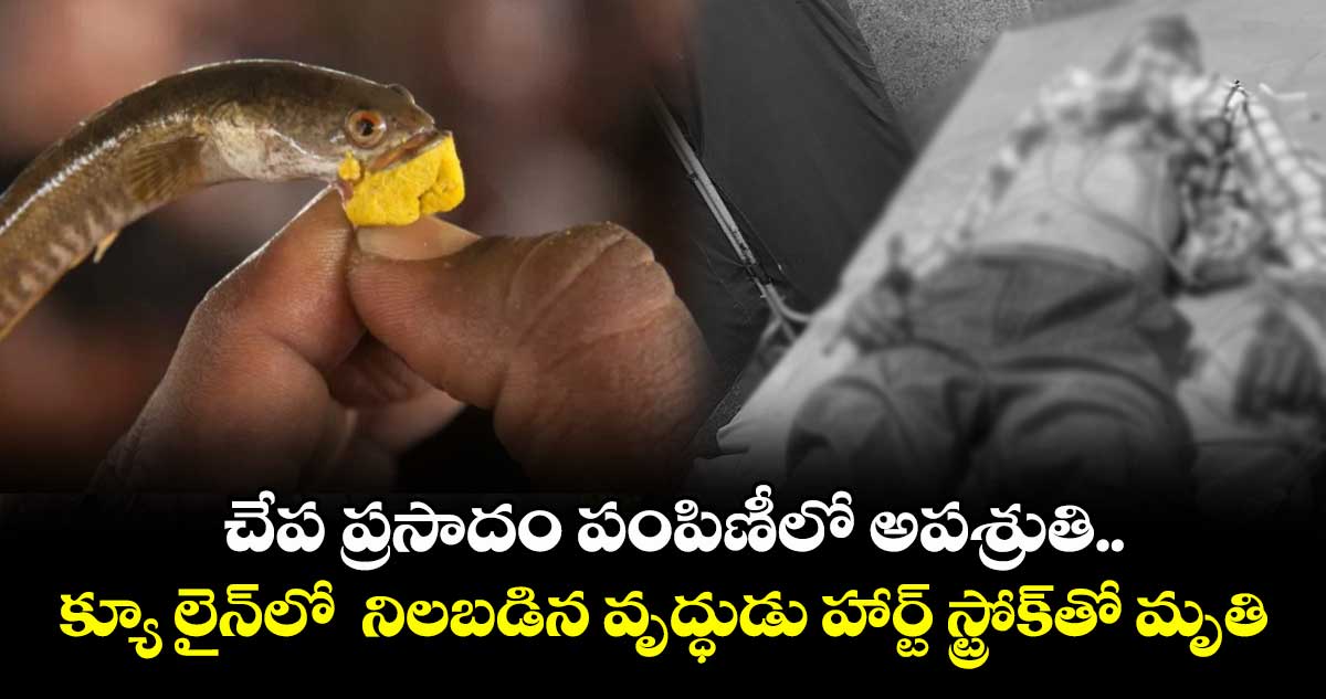 చేప ప్రసాదం పంపిణీలో అపశ్రుతి.. క్యూ లైన్లో నిలబడిన వృద్ధుడు హార్ట్ స్ట్రోక్తో మృతి