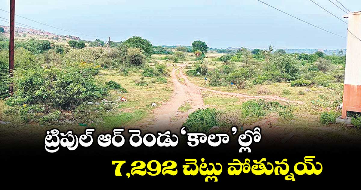 ట్రిపుల్ ఆర్ రెండు ‘కాలా’ల్లో .. 7,292 చెట్లు పోతున్నయ్