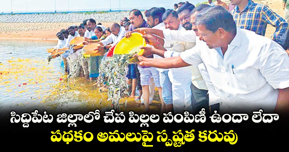 సిద్దిపేట జిల్లాలో చేప పిల్లల పంపిణీ ఉందా లేదా .. పథకం అమలుపై స్పష్టత కరువు