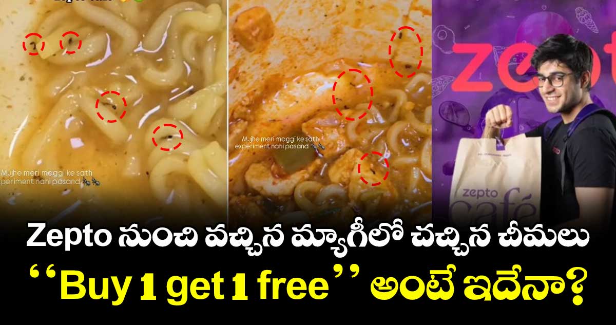 Zepto నుంచి వచ్చిన మ్యాగీలో చచ్చిన చీమలు : ''Buy 1 get 1 free'' అంటే ఇదేనా?