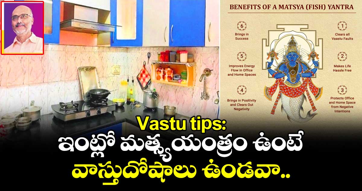 Vastu tips: ఇంట్లో మత్స్యయంత్రం ఉంటే వాస్తుదోషాలు ఉండవా..