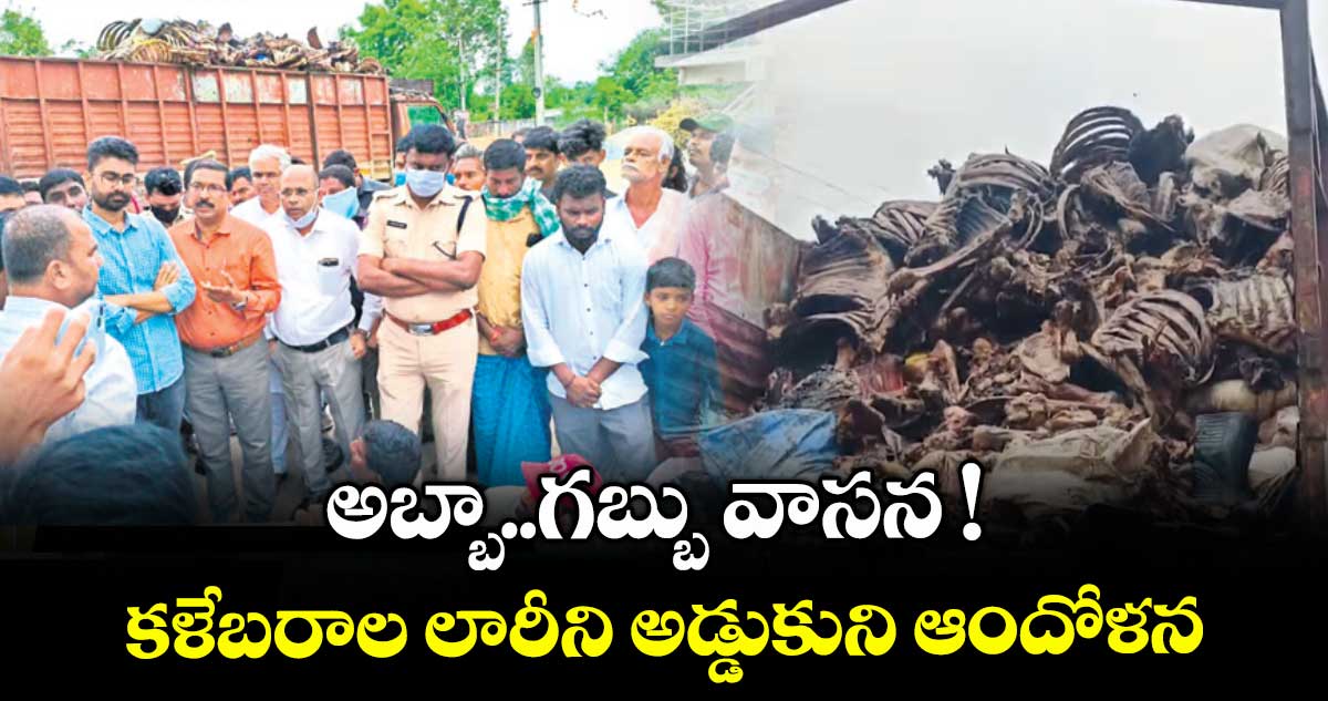అబ్బా..గబ్బు వాసన ! కళేబరాల లారీని అడ్డుకుని ఆందోళన