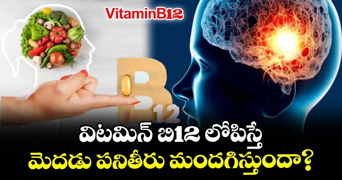 VitaminB12: విటమిన్ బి12 లోపిస్తే...మెదడు పనితీరు మందగిస్తుందా?