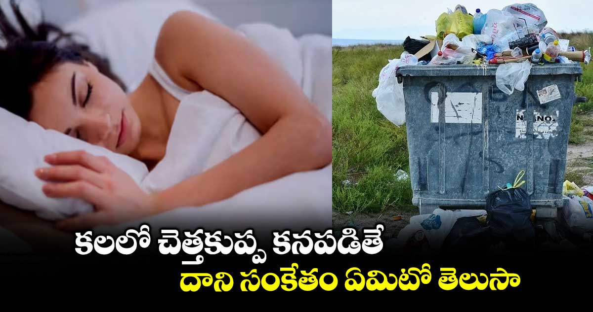 స్వప్నశాస్త్రం : కలలో చెత్తకుప్ప కనపడితే.. దాని సంకేతం ఏమిటో తెలుసా..