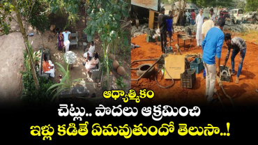 ఆధ్యాత్మికం:  చెట్లు.. పొదలు ఆక్రమించి ఇళ్లు కడితే ఏమవుతుందో తెలుసా..!