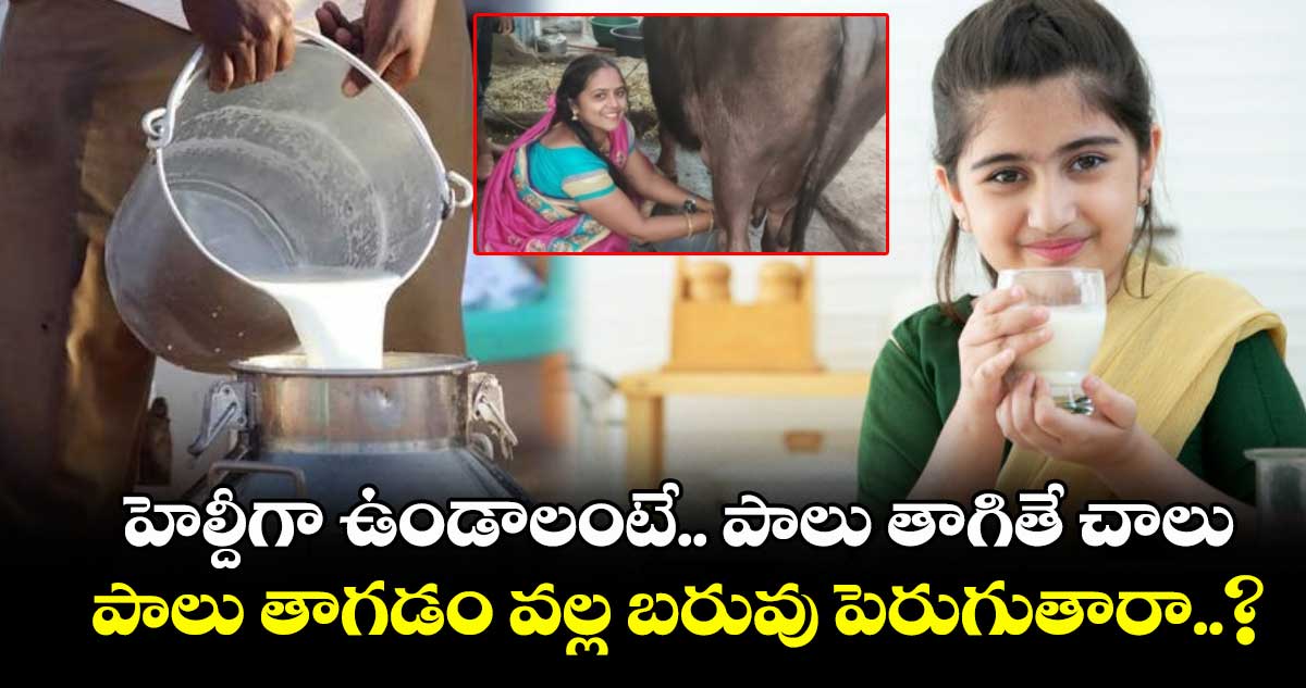 Benefits of Milk: హెల్దీగా ఉండాలంటే.. పాలు తాగితే చాలు.. పాలు తాగడం వల్ల బరువు పెరుగుతారా..?