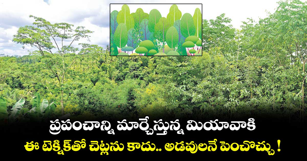 ప్రపంచాన్ని మార్చేస్తున్న మియావాకి.. ఈ టెక్నిక్తో చెట్లను కాదు.. అడవులనే పెంచొచ్చు !