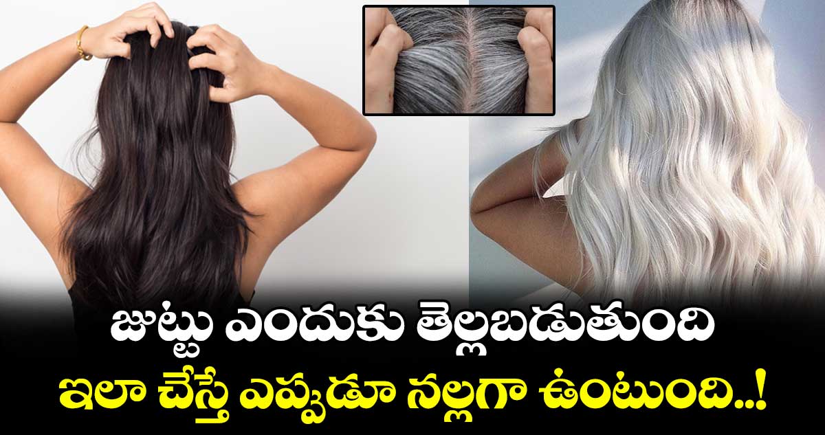 Hair Beauty:  జుట్టు ఎందుకు తెల్లబడుతుంది..  ఇలా చేస్తే ఎప్పుడూ నల్లగా ఉంటుంది..!