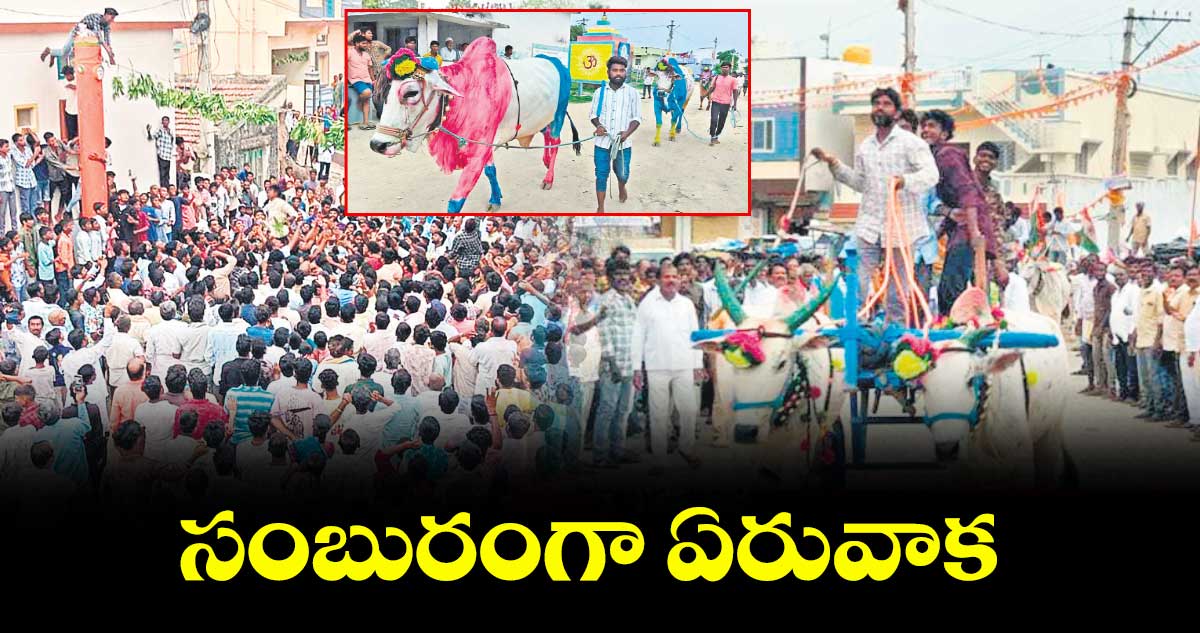 సంబురంగా ఏరువాక