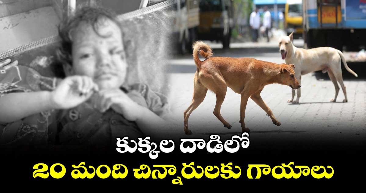కుక్కల దాడిలో 20 మంది చిన్నారులకు గాయాలు