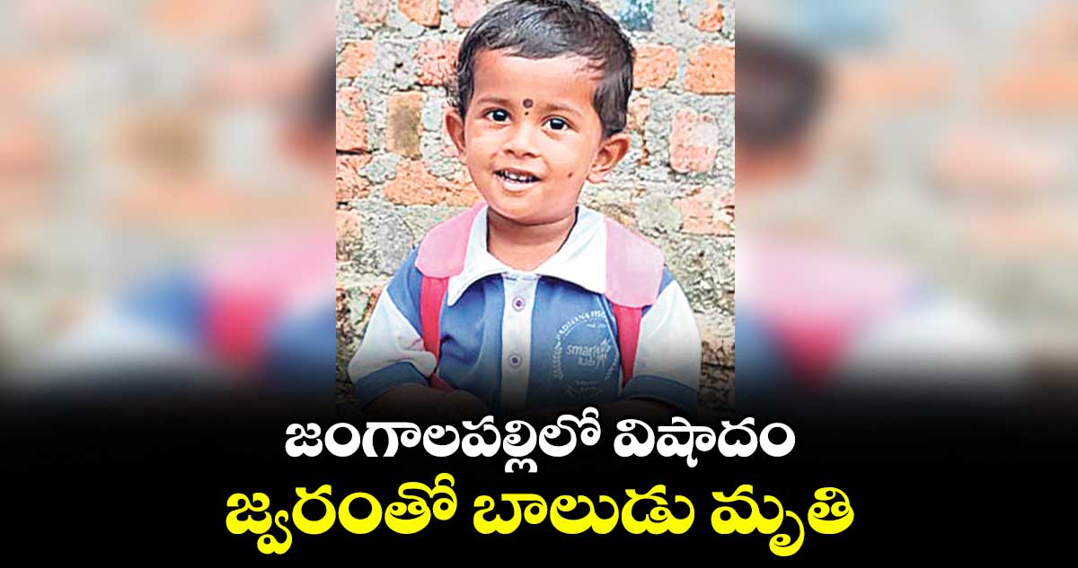 జంగాలపల్లిలో విషాదం..జ్వరంతో బాలుడు మృతి