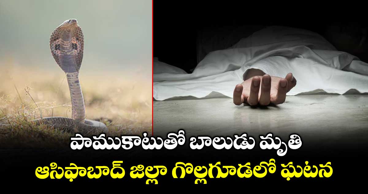 పాముకాటుతో బాలుడు మృతి ..ఆసిఫాబాద్ జిల్లా గొల్లగూడలో ఘటన